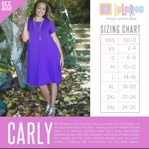 LuLaRoe NWoT XXS "Carly" Style High-Low Shirt Dress Short Sleeve Lightweight - Picture 10 of 10